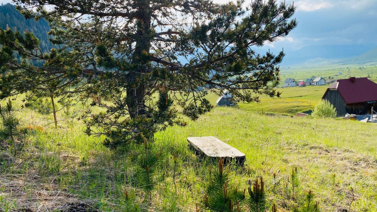 Eco Village Pavlovic Zabljak  Bagian luar foto
