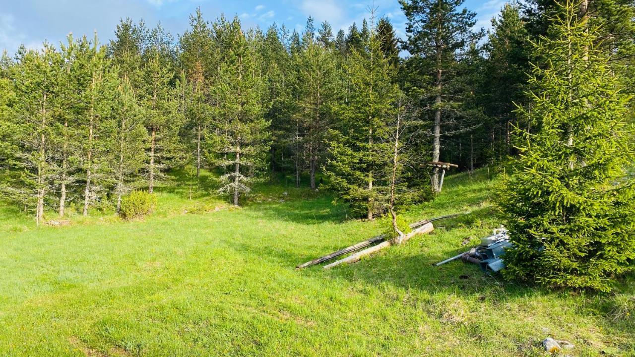 Eco Village Pavlovic Zabljak  Bagian luar foto