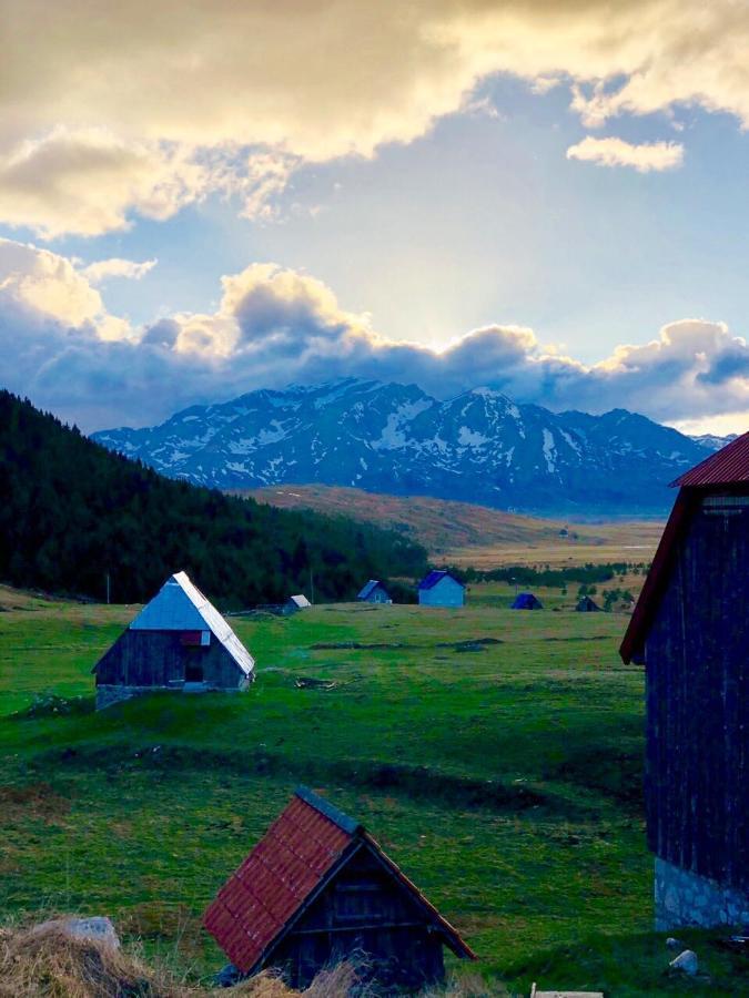 Eco Village Pavlovic Zabljak  Bagian luar foto