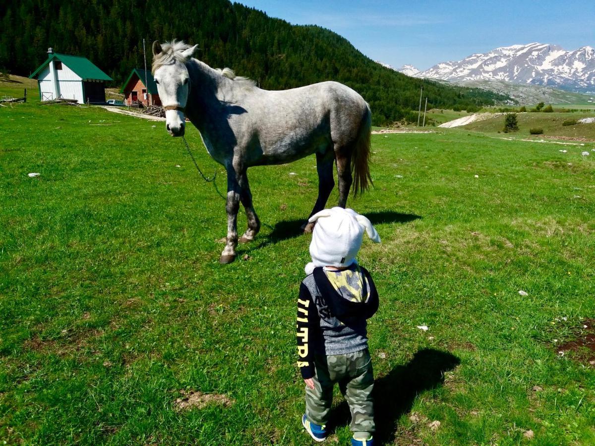 Eco Village Pavlovic Zabljak  Bagian luar foto